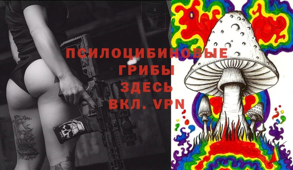 гашиш Богородск