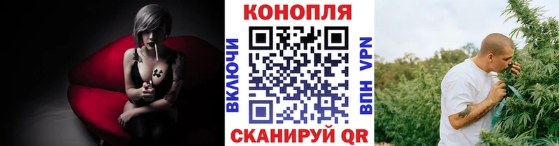 Купить закладки  Лысьва  Каннабис сатива 